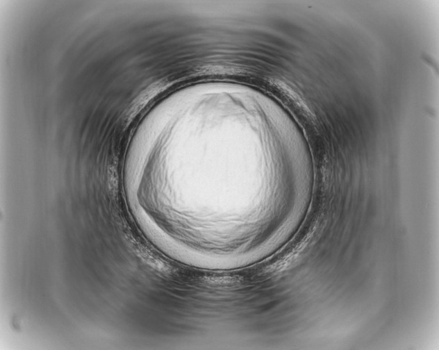 X0000096731025200802261448