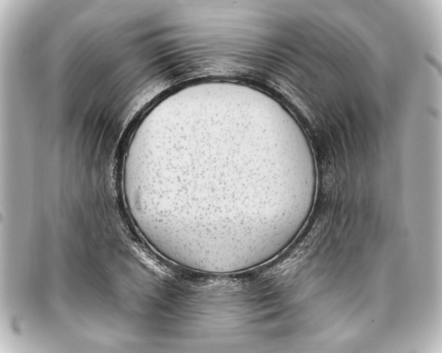 X0000096731026200802261448