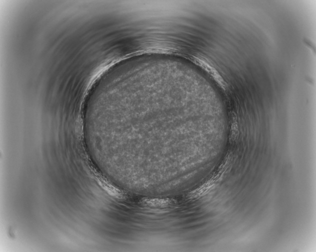 X0000096731027200802261448