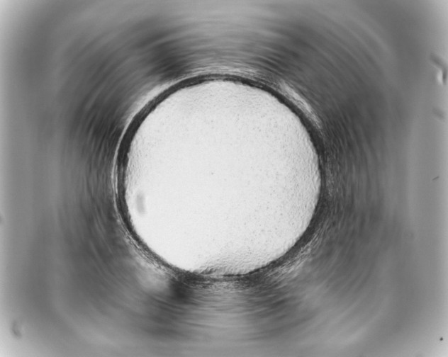 X0000096731028200802261448