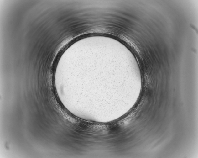 X0000096731029200802261448