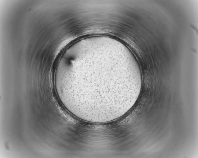 X0000096731030200802261448