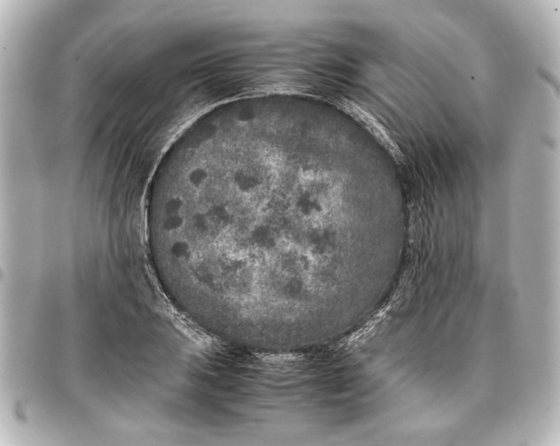 X0000096731031200802261448