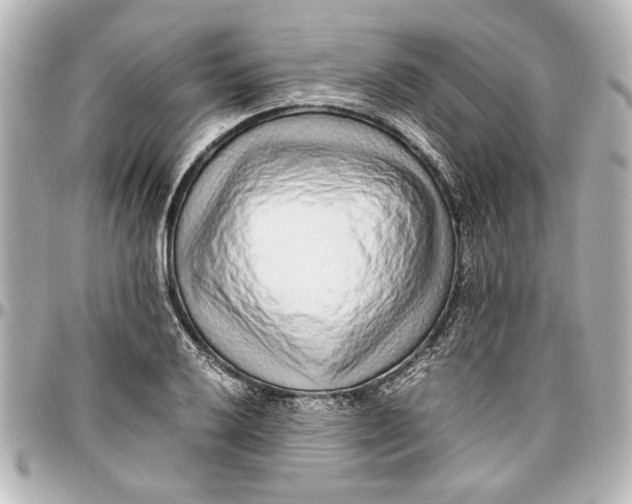 X0000096731032200802261448