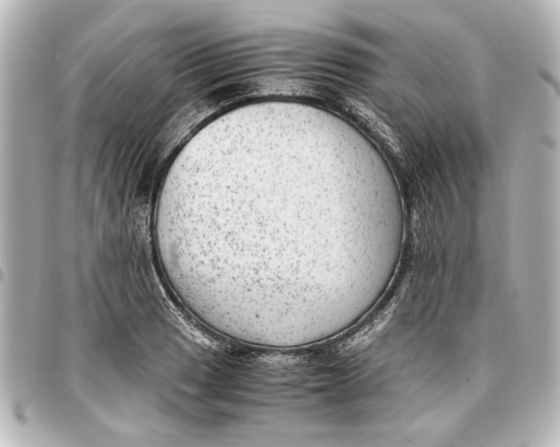 X0000096731033200802261448