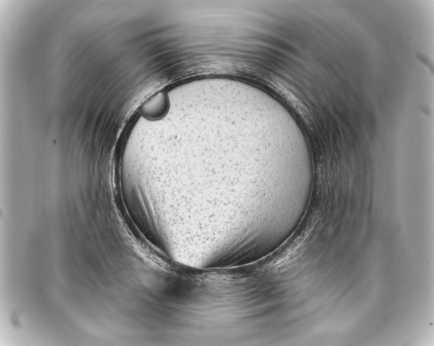 X0000096731034200802261448