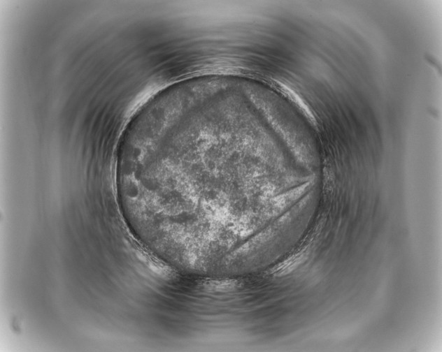 X0000096731035200802261448