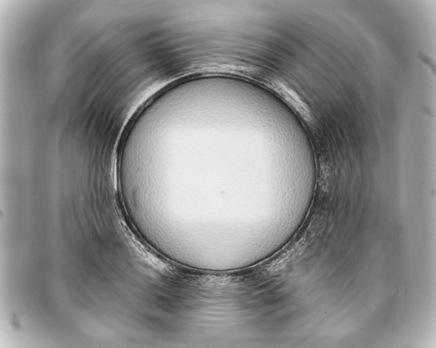 X0000096731036200802261448