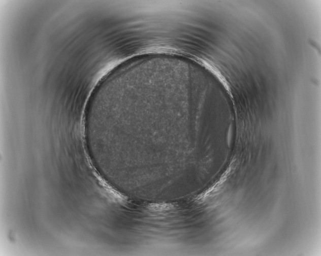 X0000096731037200802261448