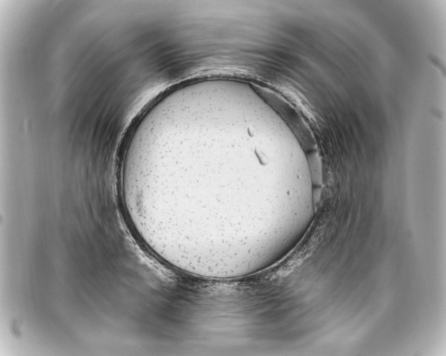 X0000096731038200802261448