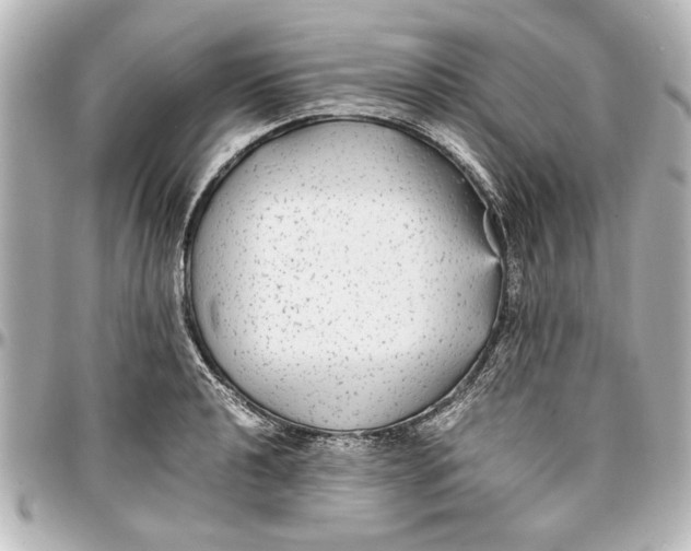 X0000096731040200802261448