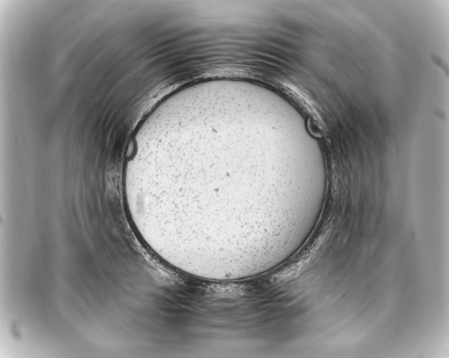 X0000096731041200802261448