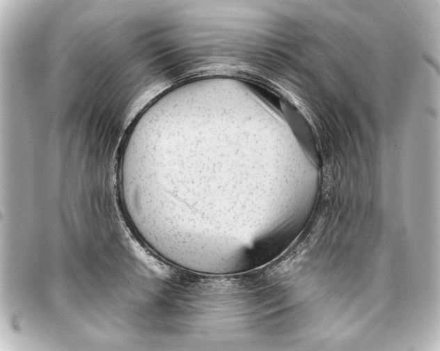 X0000096731042200802261448