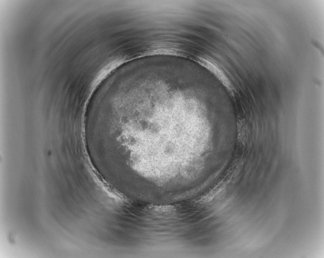 X0000096731043200802261448