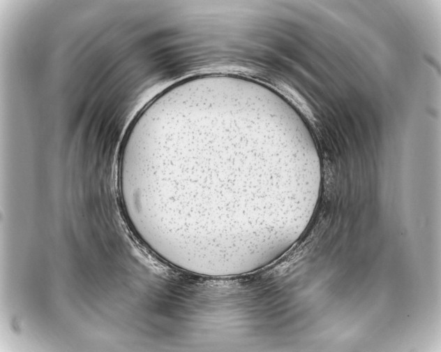 X0000096731044200802261448