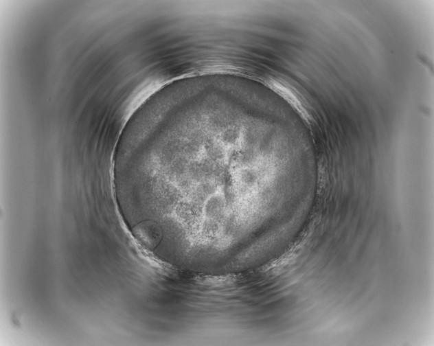 X0000096731047200802261448