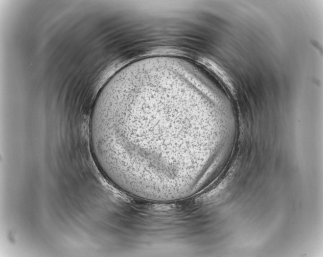 X0000096731049200802261448