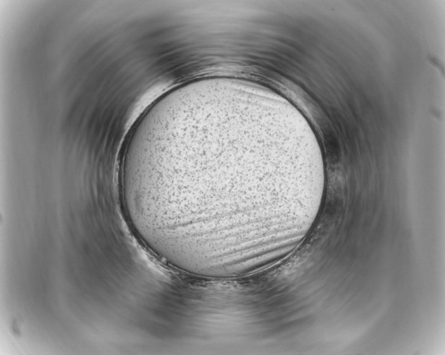 X0000096731050200802261448