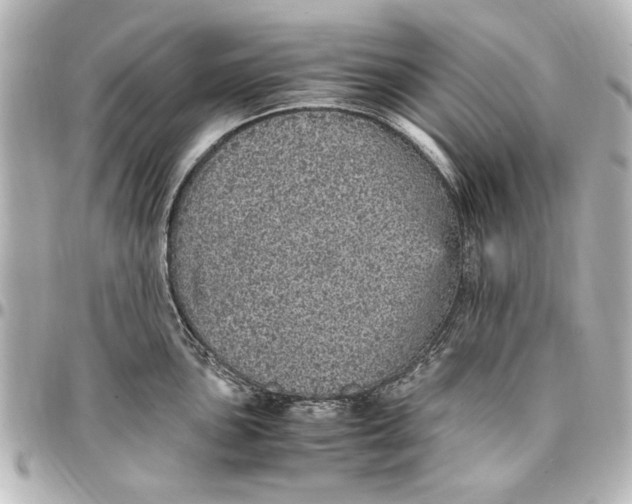 X0000096731051200802261448