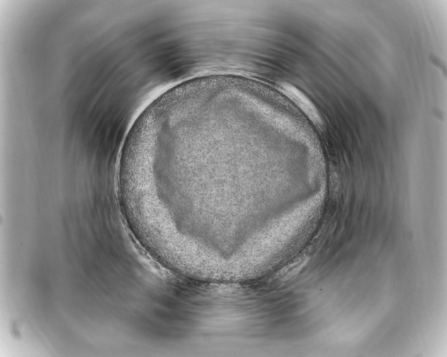 X0000096731052200802261448