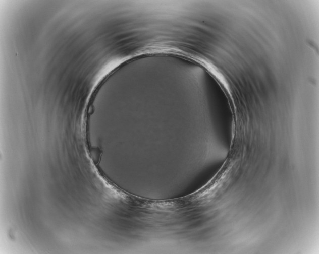 X0000096731053200802261448