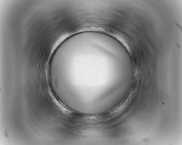 X0000096731054200802261448