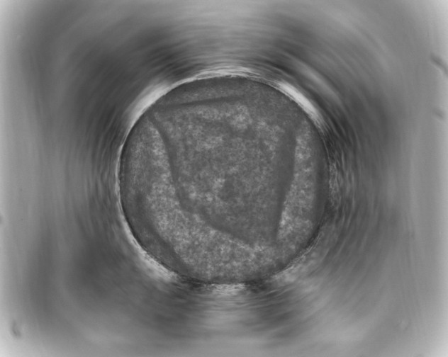 X0000096731055200802261448