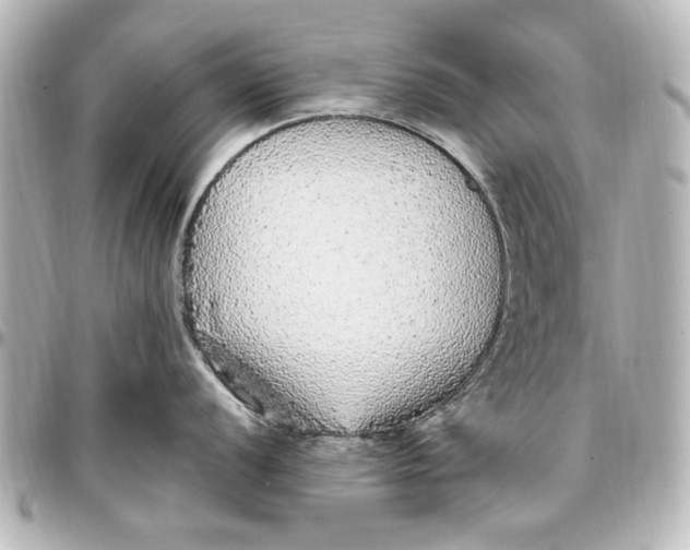 X0000096731056200802261448