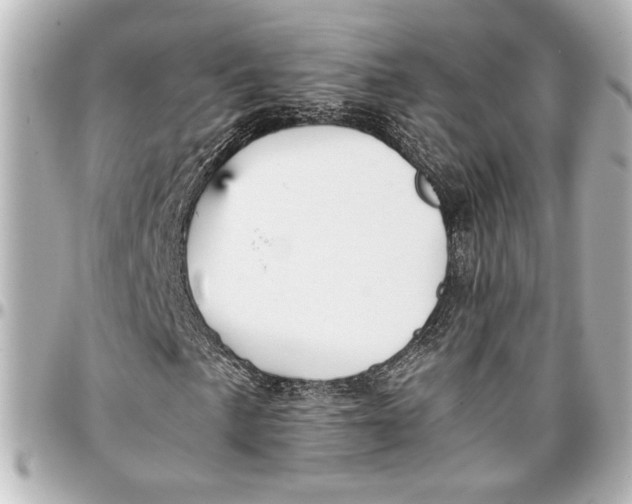 X0000096731057200802261447