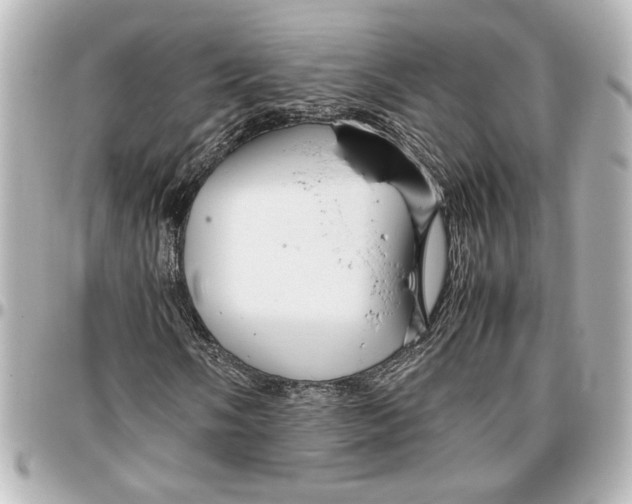 X0000096731058200802261447