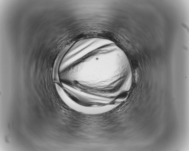 X0000096731059200802261447