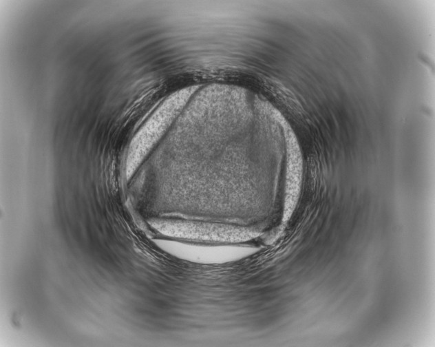 X0000096731060200802261447