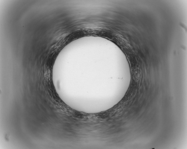 X0000096731061200802261447