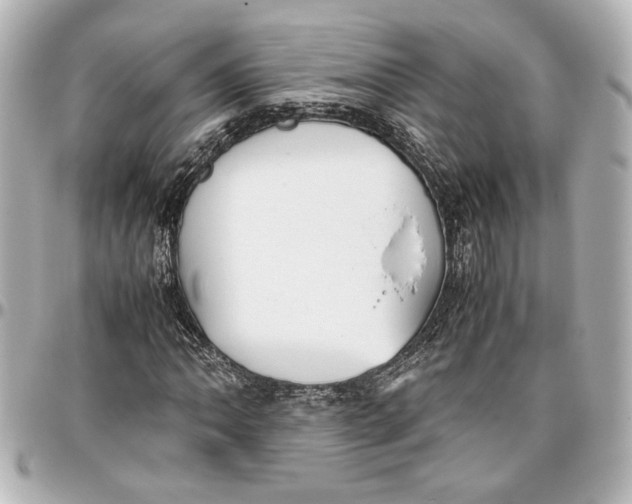 X0000096731062200802261447