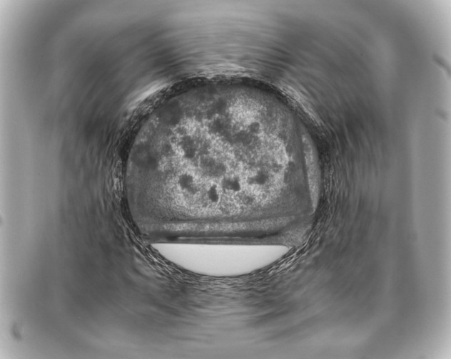 X0000096731063200802261447