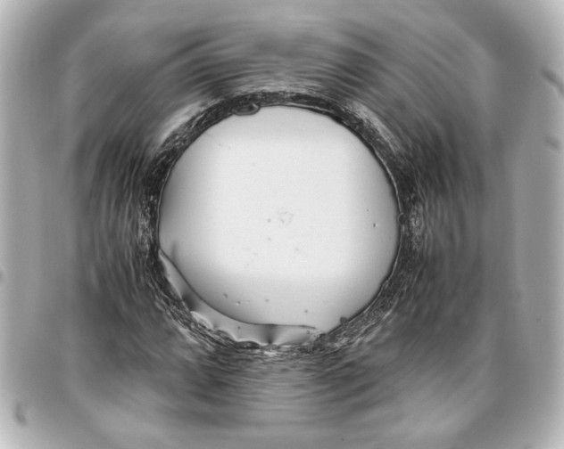 X0000096731064200802261447