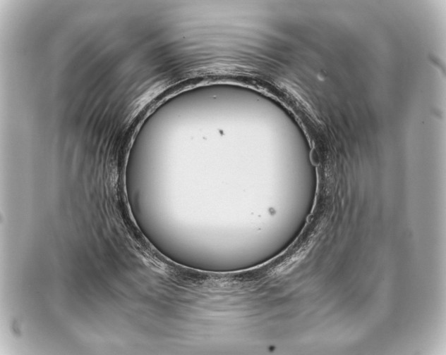 X0000096731065200802261447