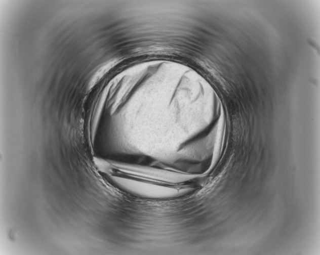 X0000096731066200802261447