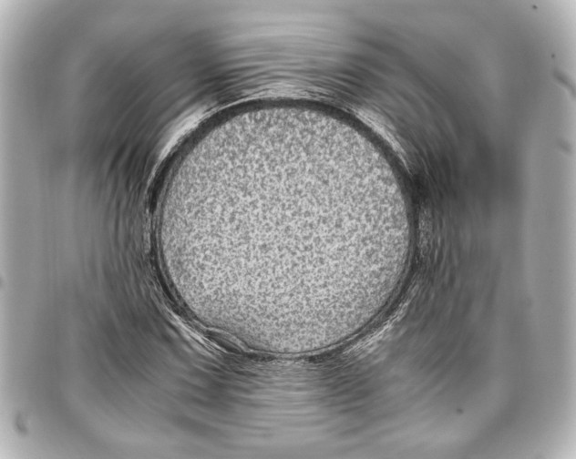 X0000096731067200802261447