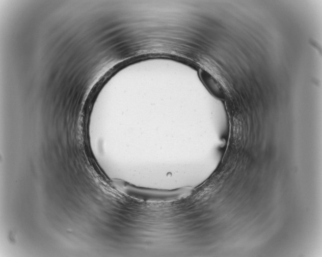 X0000096731068200802261447