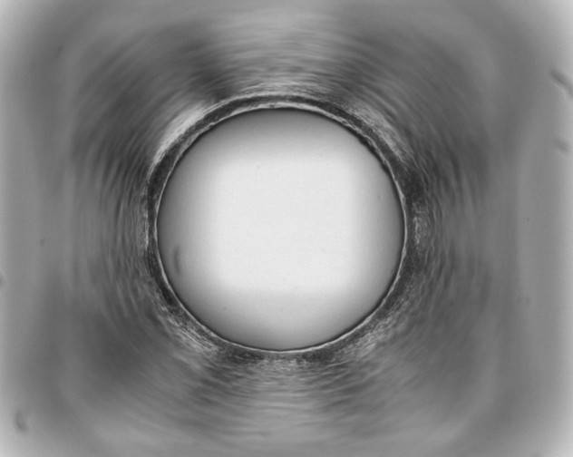 X0000096731069200802261447