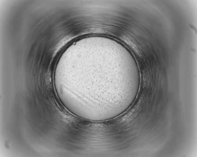 X0000096731070200802261447