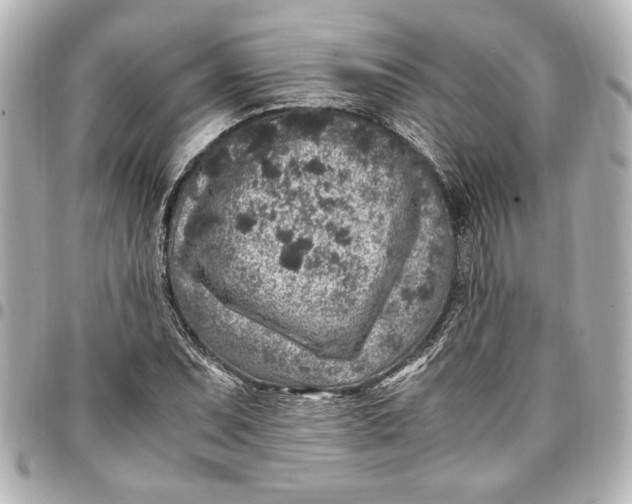 X0000096731071200802261447