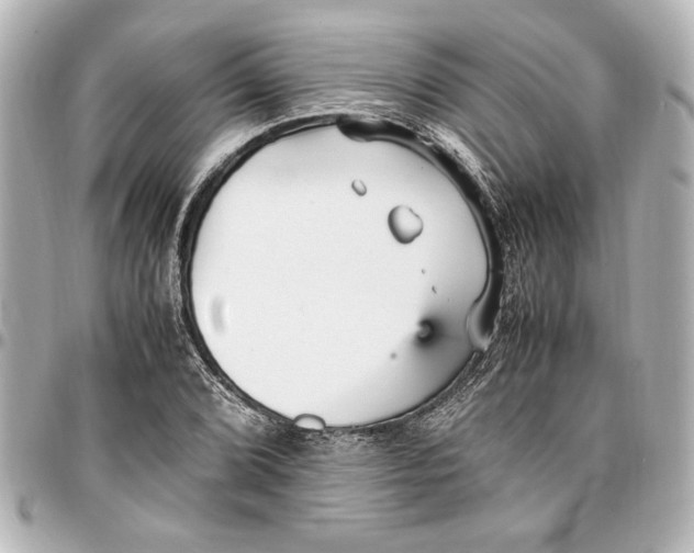 X0000096731072200802261447