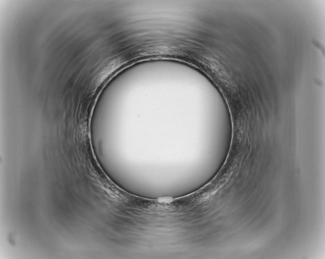 X0000096731073200802261447