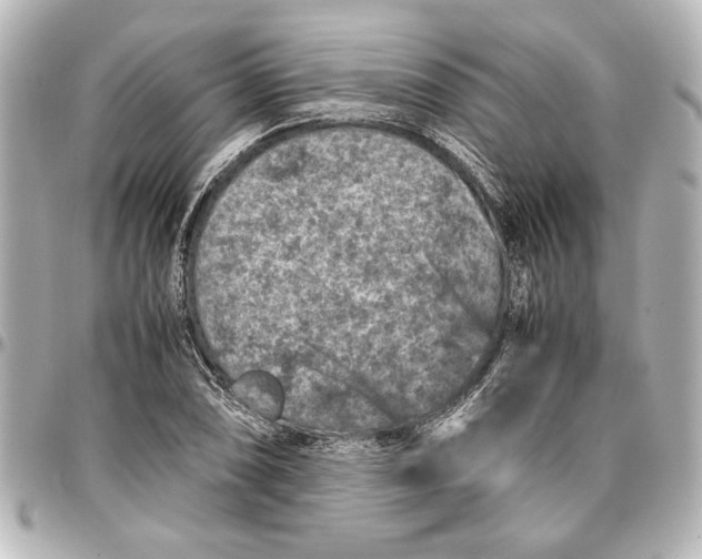 X0000096731074200802261447