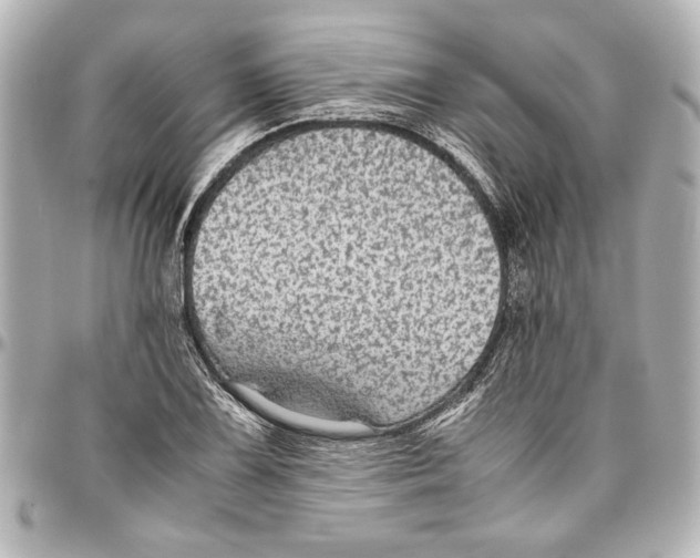 X0000096731075200802261447