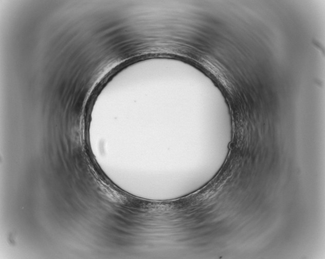 X0000096731076200802261447