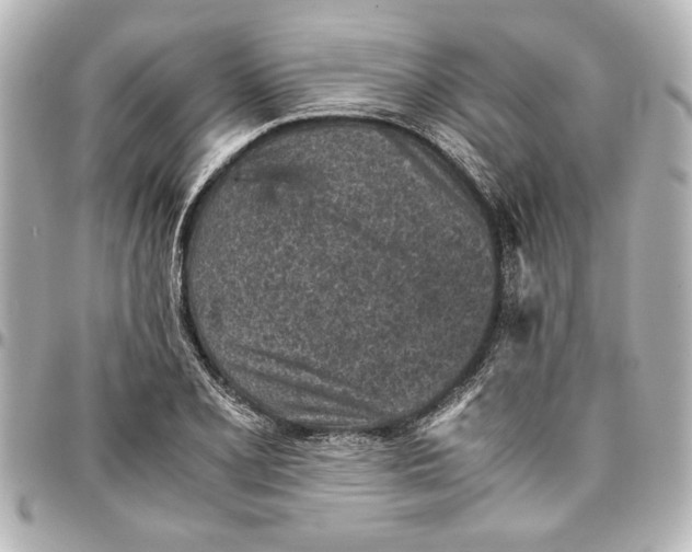 X0000096731077200802261447