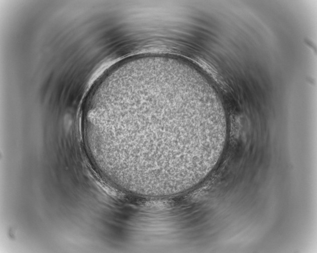 X0000096731078200802261447